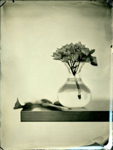 Happy World Wet Plate Day!